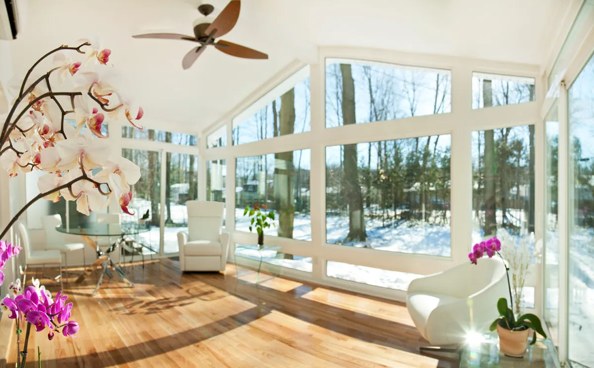 Sunroom with orchids and a winter view through full-height glass